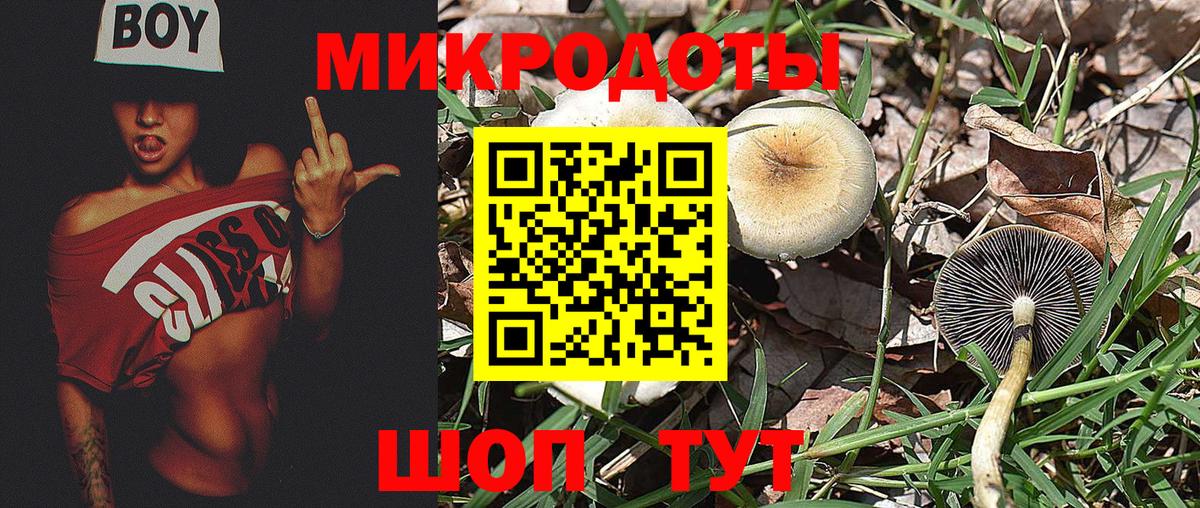 Галлюциногенные грибы ЛСД Дербент